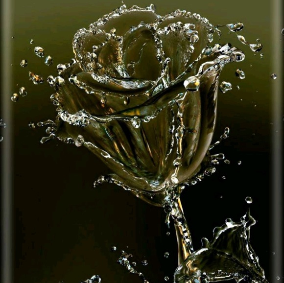 Meet your Posher, Alex - Picture 1 of 1